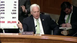 Senator Johnson at HSGAC Hearing 3.17
