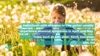 Common Triggers Of Allergy Symptoms