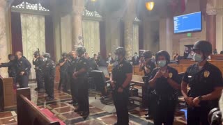 LA Riot Police Face Off With Leftists At City Council Meeting