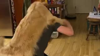 Doggo Learns How to Piggyback