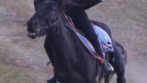 Beautiful Girl Riding A Horse