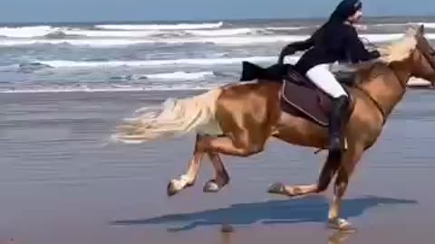 Girl horse riding on the beach