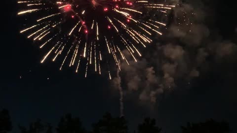 Bellevue, Washington fireworks July 4, 2021-vertical