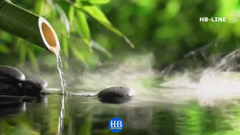 Relaxing Piano Music •Water Sounds, Sleep Music, Relaxing Music, Meditation Music Full HD HB-line