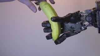 Robotic hand 'sees and feels' for gripping dexterity