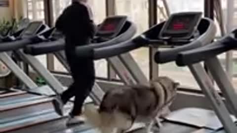 Boy and dog together run