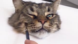 Someone Painted A Cat So Realistic, It Comes To Life