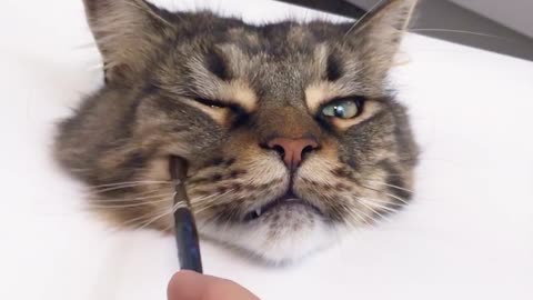 Someone Painted A Cat So Realistic, It Comes To Life