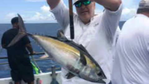 Fish Hooked Off Of Miami