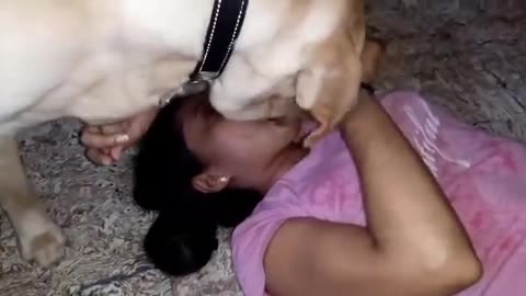 Dog kissing his mother lady