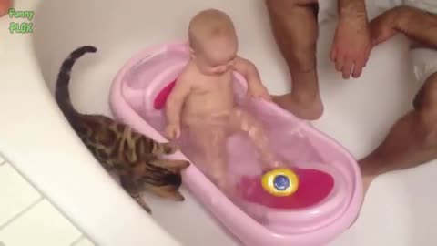 Cat playing with baby so funny