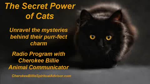 The Secret Power of Cats by Cherokee Billie