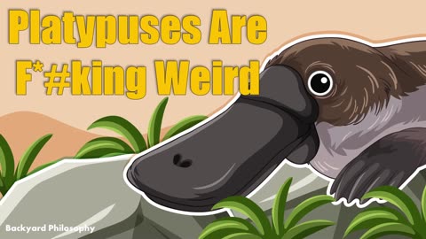 Platypuses Are Weirded Than You Think!
