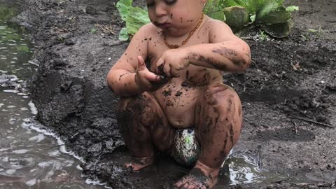 Digging Through the Dirt for a Snack