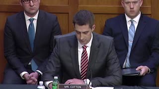 Sen. Tom Cotton: "We are witnessing a breakdown of society."
