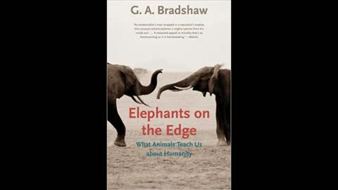 What Animals Teach About Us Re: Humanity- Gay Bradshaw, Host Dr. Zoh Hieronimus