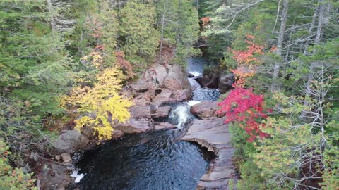 Autumn landscape within the forest of trees