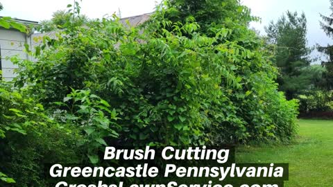 Brush Cutting Greencastle Pennsylvania Landscape Contractor