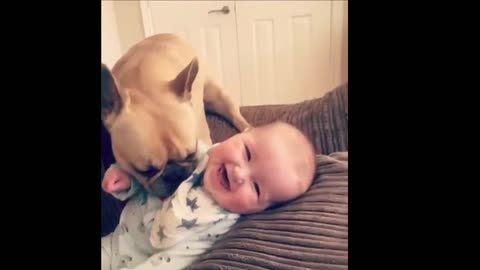 Cute Expression baby - The dog's reaction to the baby for the first time is awesome