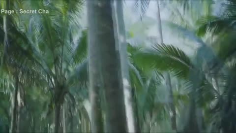 Giant Snake | anaconda full movie | latest | Snake video sence ! clips!movie explain