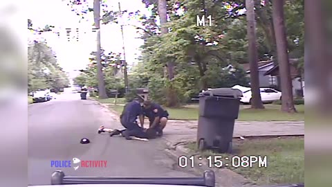 Dashcam Shows Cops Use Taser on Dog While Trying to Arrest Man