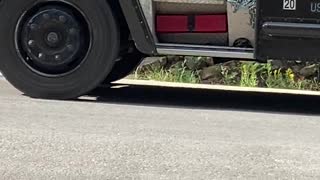 Bear Takes Snack From Delivery Man