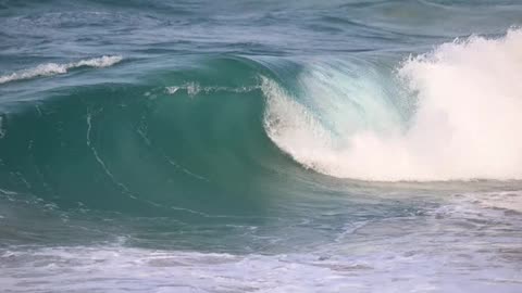 Florida Bodyboarding report in Barbados