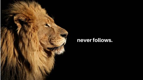 LION MENTALITY Powerful Motivational Speech_1080p