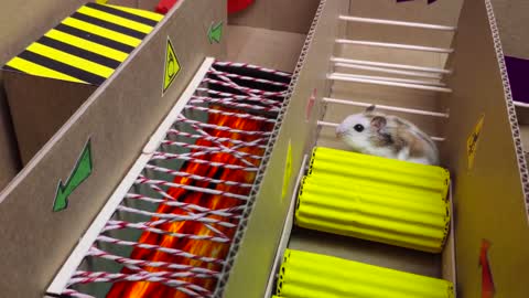 hamster running away from the police