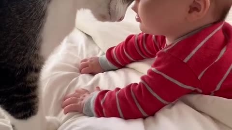 "Furry Friends and Heartwarming Moments: The Most Adorable Video the Internet Has to Offer!"