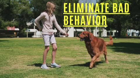 Secret to using your dog's natural intelligence to stop bad behavior