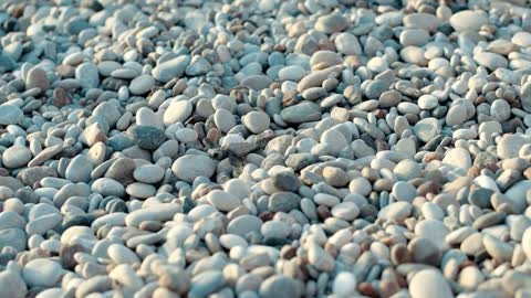 Newborn turtle crawling on stones to sea