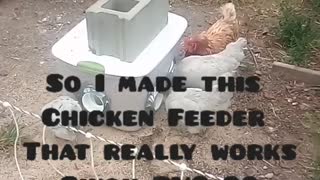 Homemade DIY Chicken Feeder