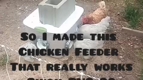 Homemade DIY Chicken Feeder