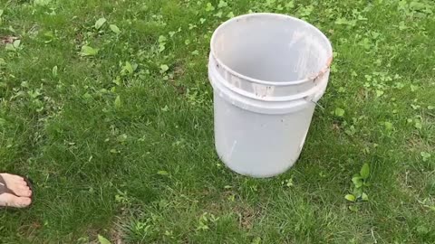 DIY 2-Bucket Worm Composter For FREE