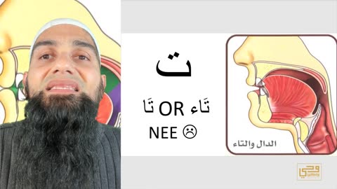 Quran/Arabic Level 0 - Taa