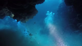 Cooper's Island Bermuda Scuba Dive 31st March 2019