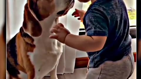 ##CUTE DOG AND BABY FRIENDSHIP VIDEO ## EMOTIONAL VIDEO TOUCH TO EVERYONE HEART