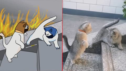 Cat Memes: We Live, We Love, We Lie - Smurf Cat 😹 Trending Funny Animals 2023 😊