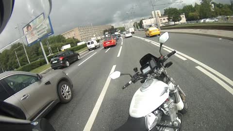 Moscow Motorists Rescues Kitten During Rush Hour