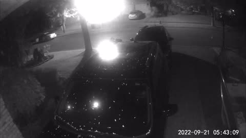 Sunnyside Crescent Car Thief III