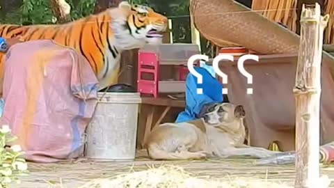 Troll Prank Fake Dog/Tiger/Lion