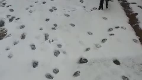 My little boy first time on the snow