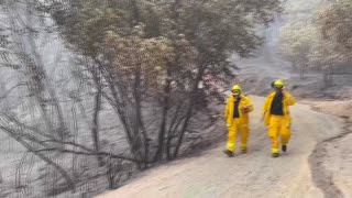 Video: 15 muertes por incendios forestales en EE.UU.