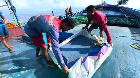 ஆழ்கடலில் இரண்டாவது நாள் தங்கி பிடித்த மீன்கள்_Day-02_Deep Sea Fishing_Season-04_Episode-03