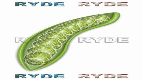 RYDE IMAGING MICROENCODING CIRCUIT