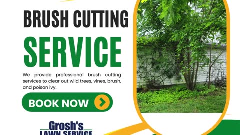 Brush Cutting Big Pool Maryland Landscape Contractor
