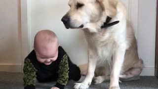 Baby and dog reacts on massage. 😝