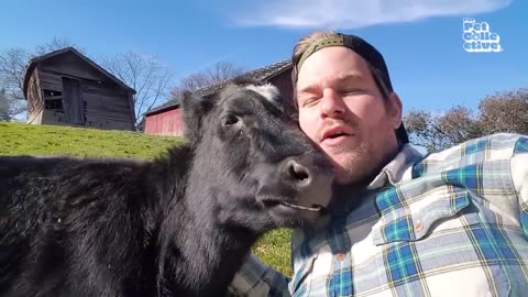 The Best Funniest Farm Animals