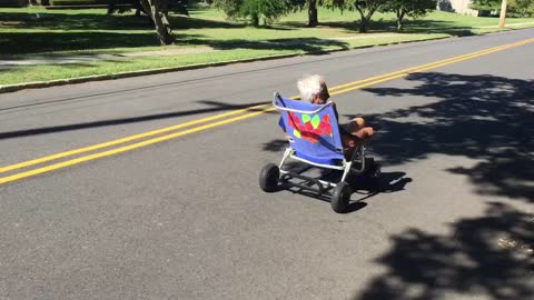 Senior citizen flies off beach chair hoverboard